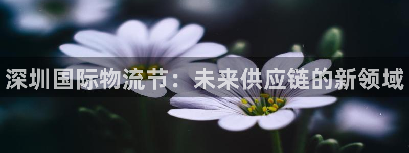 多多28昵称：深圳国际物流节：未来供