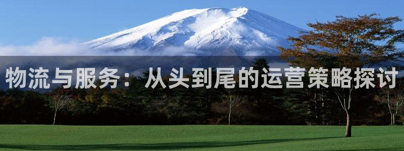 多多28不给提现：物流与服务：从头到