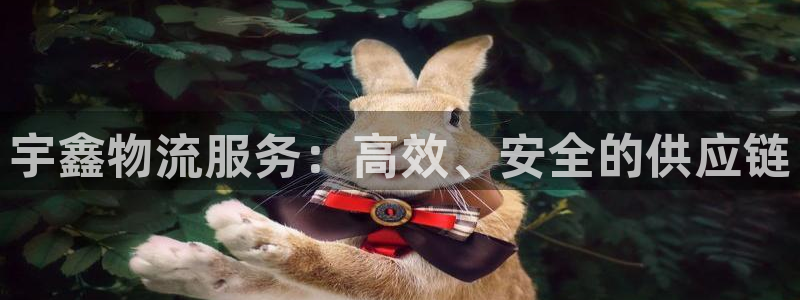 多多28怎么申请代理：宇鑫物流服务：
