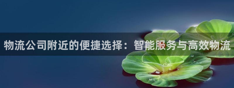 多多28加拿大在线预测：物流公司附近
