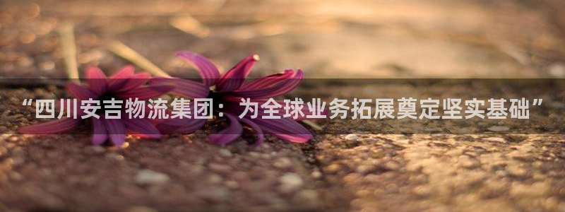 多多28官网下载加拿大：“四川安吉物