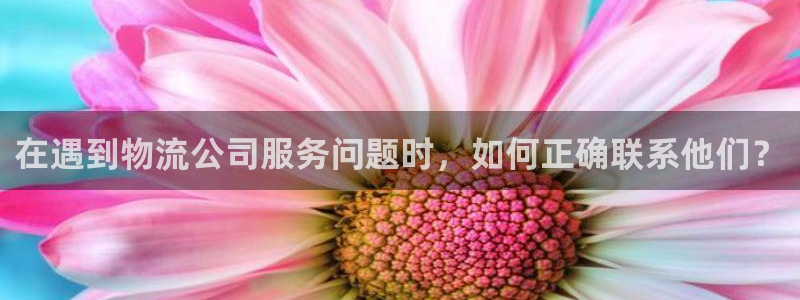 多多28软件堵什么反什么：在遇到物流