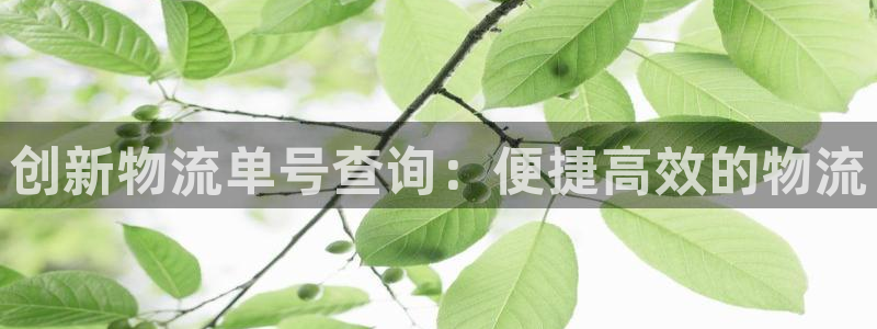 多多28pg如何退钱：创新物流单号查