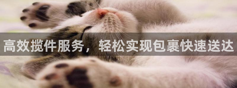多多28加拿大走势：高效揽件服务，轻