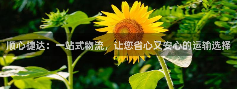 多多28充值不处理