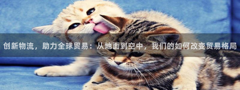 多多28app注册地址：创新物流，助力全球贸易：从地面到空中