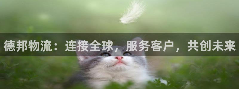 多多28加拿大：德邦物流：连接全球，