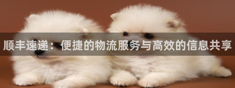 多多28官网下载链接是什么:顺丰速递