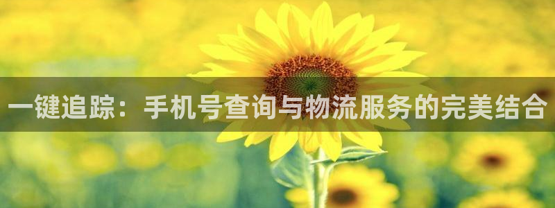 多多28退款教程：一键追踪：手机号查