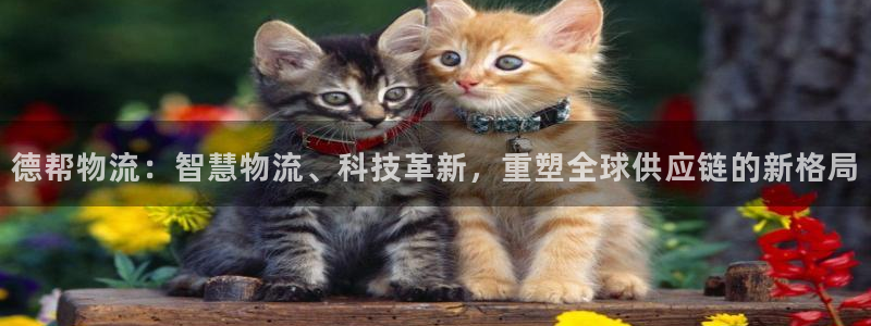 多多28登录流程：德帮物流：智慧物流
