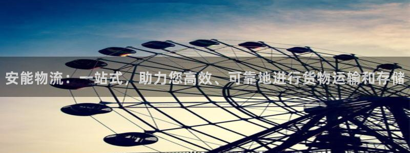 多多28官网入口正版：安能物流：一站