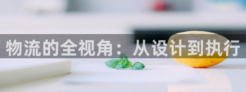 多多28官网版2024：物流的全视角