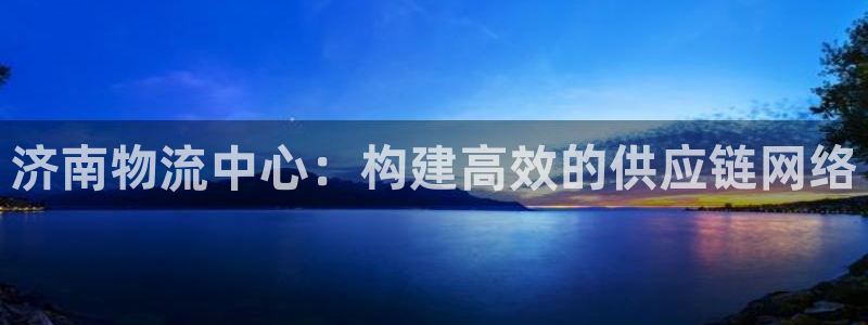 多多28大舞台：济南物流中心：构建高