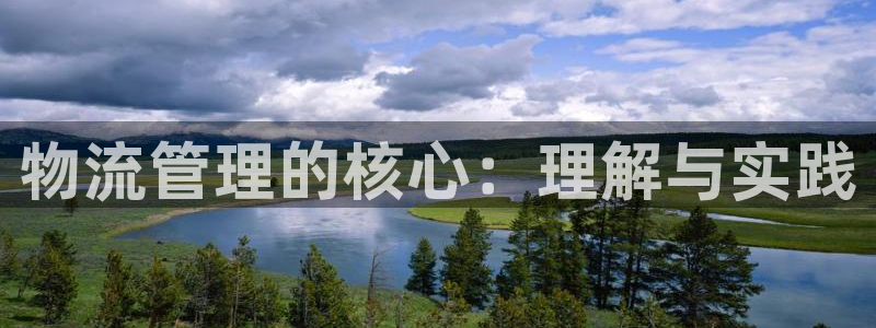 多多28退款