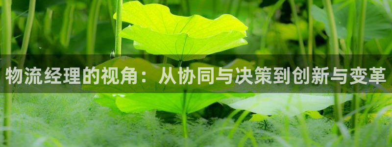 多多28注册网址：物流经理的视角：从