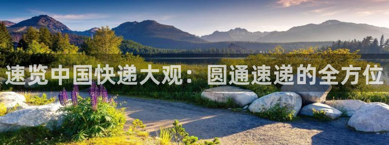 多多28体育下载:速览中国快递大观: