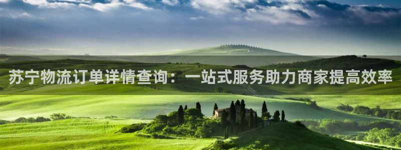 多多28注册上限是啥意思:苏宁物流订