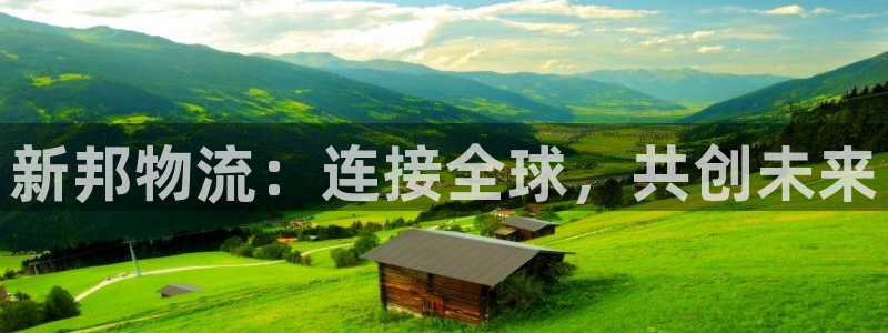 多多28加拿大在线预测：新邦物流：连