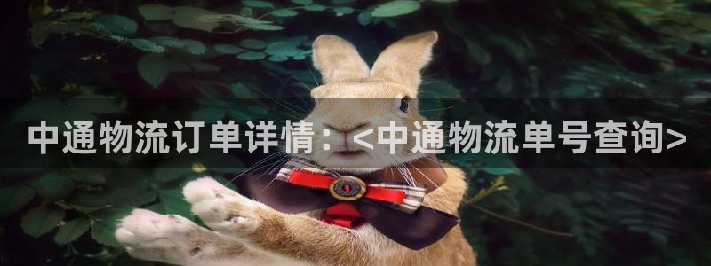 多多28加拿大pc预测