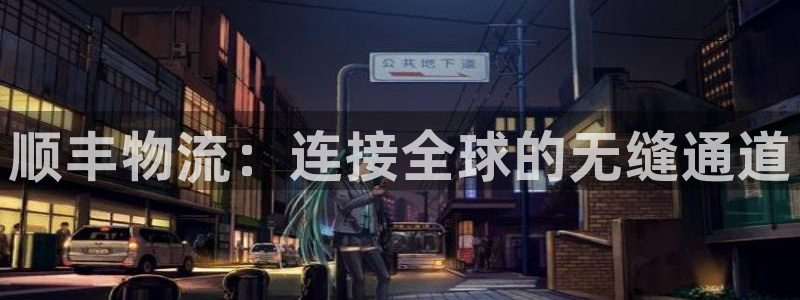 多多28加拿大模拟器：顺丰物流：连接全球的无缝通道