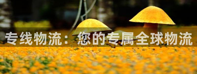 多多28注册入口与教程