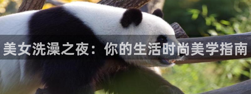 nba在线直播观看直播看球吧：美女洗澡之夜：你的生活时尚美学指南