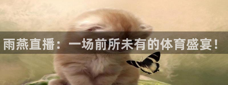看球吧直播 在线观看nba：雨燕直播：一场前所未有的体育盛宴！
