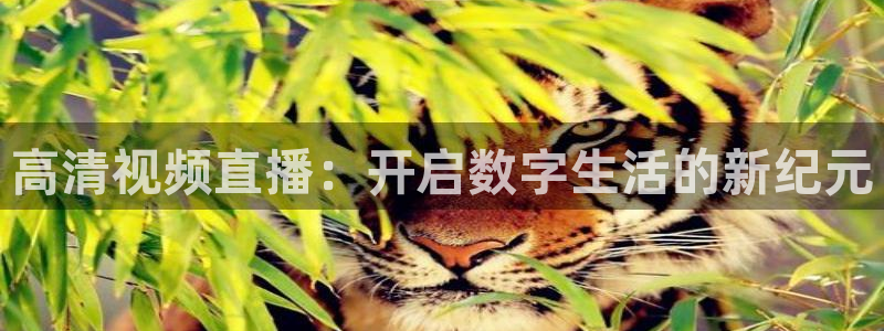 足球直播看球吧：高清视频直播：开启数字生活的新纪元
