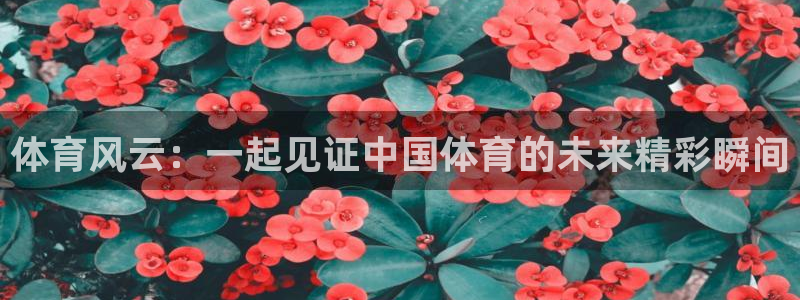 看球吧nba直播吧在线直播：体育风云：一起见证中国体育的未来精彩瞬间
