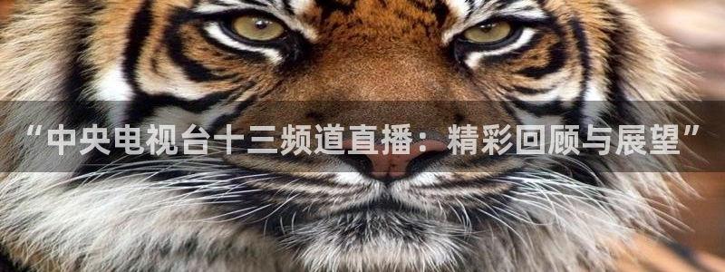 看球吧：“中央电视台十三频道直播：精彩回顾与展望”