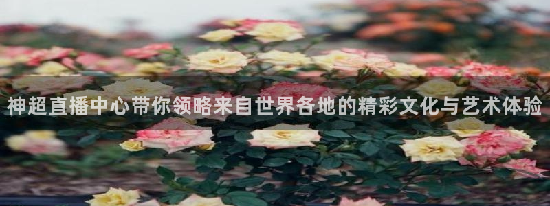看球吧足球直播：神超直播中心带你领略来自世界各地的精彩文化与艺术体验