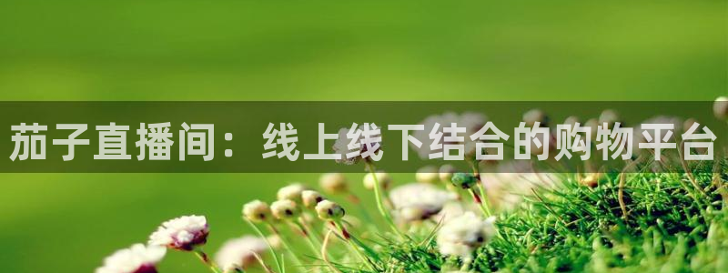 看球吧jrs低调直播：茄子直播间：线上线下结合的购物平台