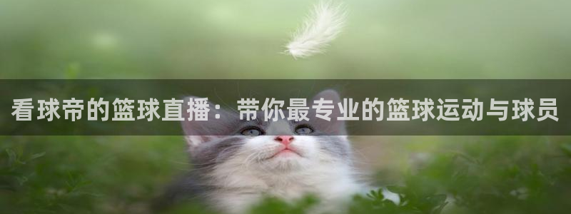 看球吧nba免费直播：看球帝的篮球直播：带你最专业的篮球运动与球员