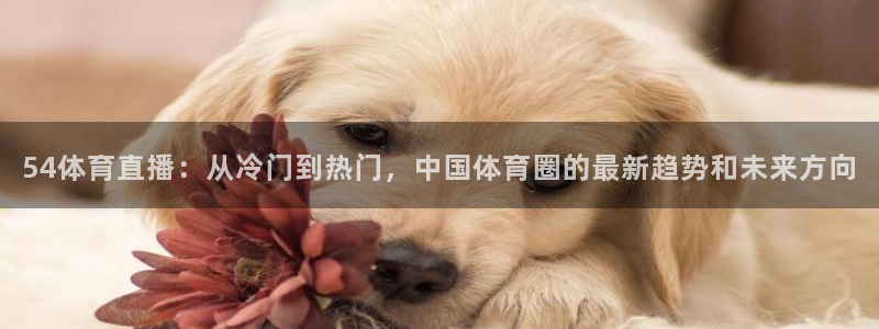体育直播看球吧：54体育直播：从冷门到热门，中国体育圈的最新趋势和未来方向