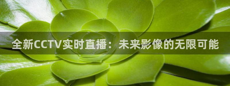 看球吧jrs直播nba：全新CCTV实时直播：未来影像的无限可能